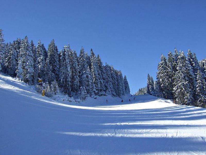L&N Apartmani Kopaonik-Milmari Resort מראה חיצוני תמונה