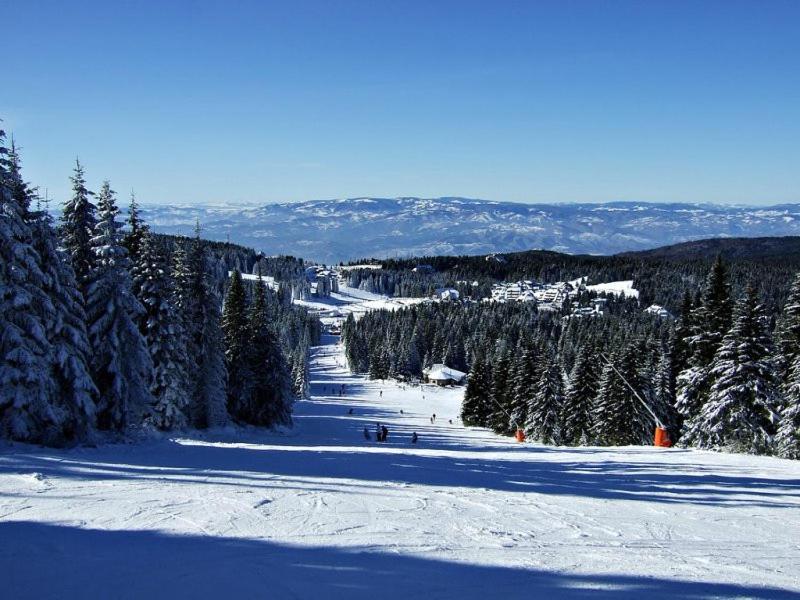L&N Apartmani Kopaonik-Milmari Resort מראה חיצוני תמונה