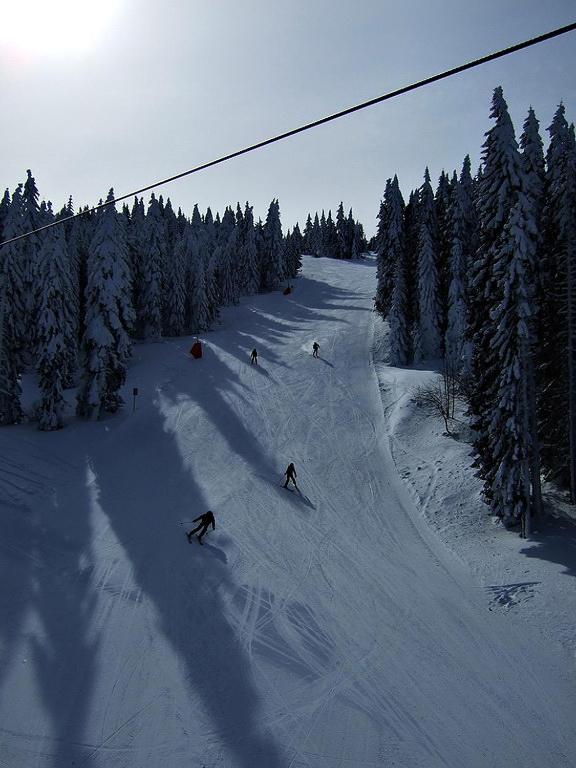 L&N Apartmani Kopaonik-Milmari Resort מראה חיצוני תמונה